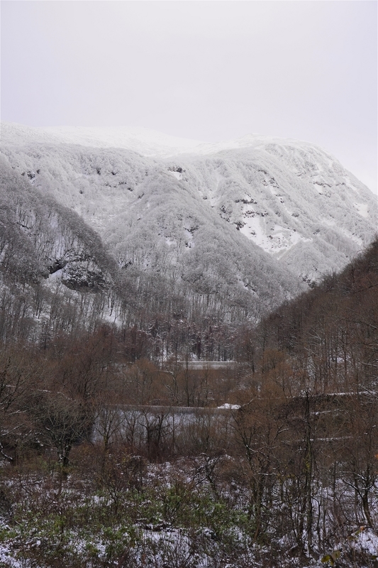 f:id:GSX-R1000:20211205183140j:plain