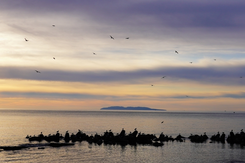 f:id:GSX-R1000:20211215205155j:plain