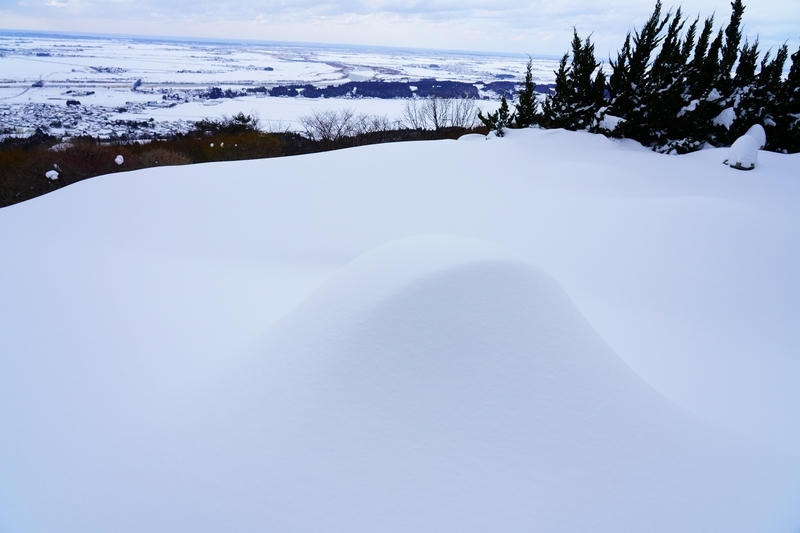 f:id:GSX-R1000:20220207163349j:plain