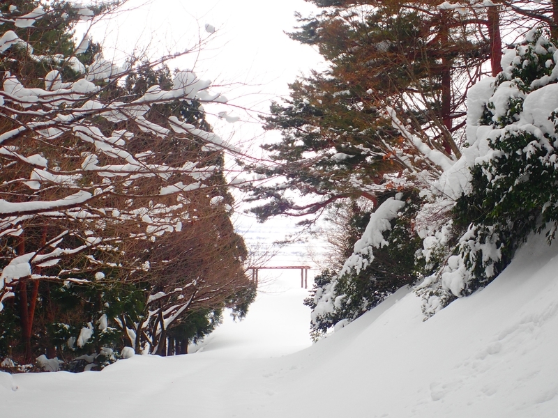 f:id:GSX-R1000:20220207163646j:plain