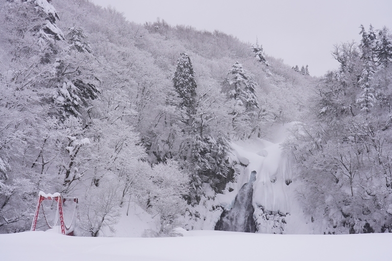 f:id:GSX-R1000:20220224170714j:plain