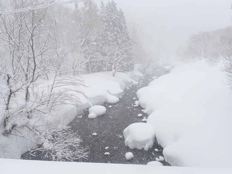 f:id:GSX-R1000:20220224171320j:plain