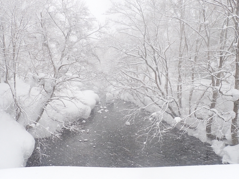 f:id:GSX-R1000:20220224171327j:plain