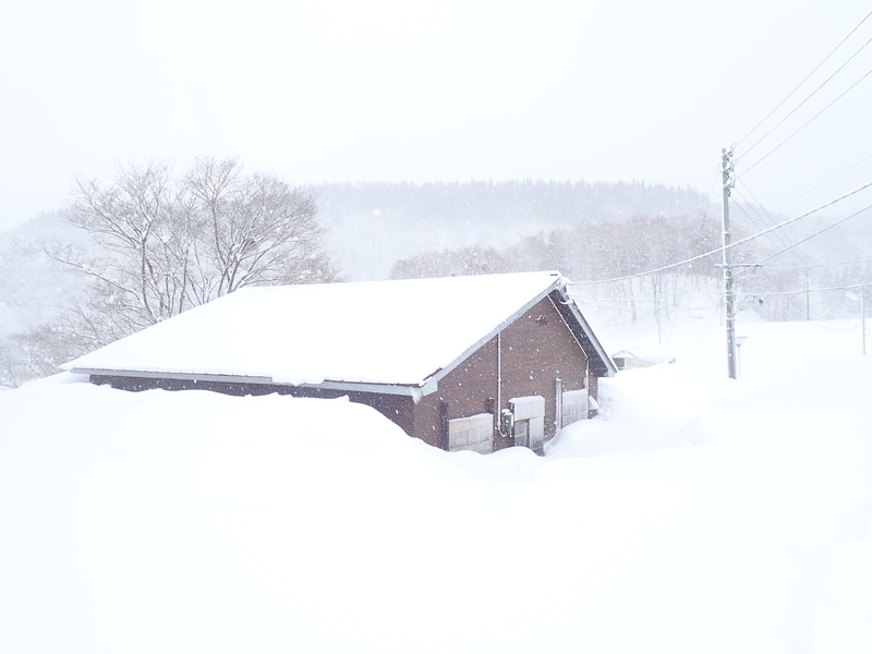 f:id:GSX-R1000:20220224171424j:plain