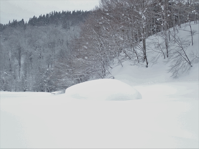 f:id:GSX-R1000:20220224171446j:plain