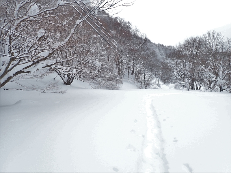 f:id:GSX-R1000:20220224171610j:plain