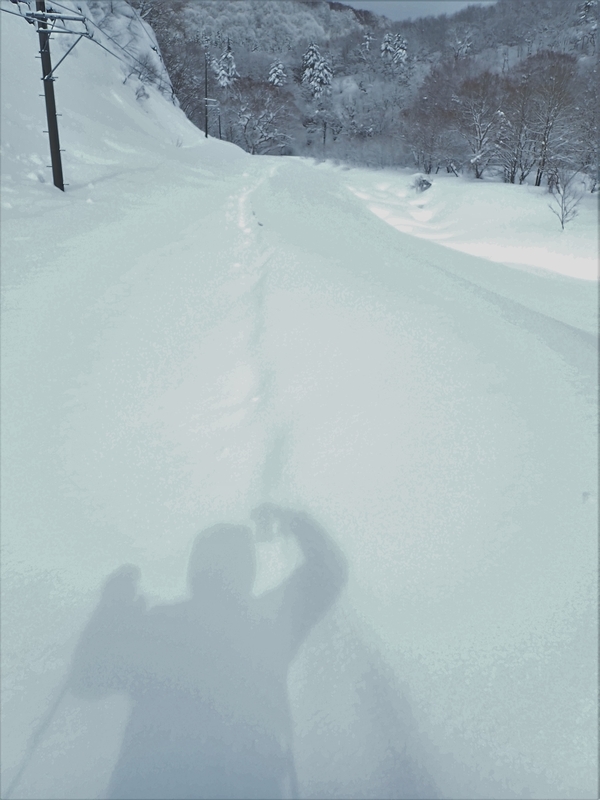 f:id:GSX-R1000:20220224171630j:plain