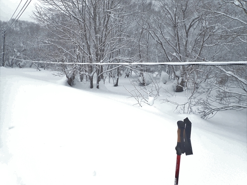 f:id:GSX-R1000:20220224171639j:plain