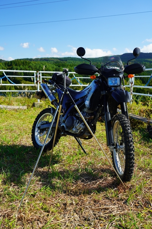 3脚まとめ買い surfdude 3脚まとめ買い surfdude 3 3脚まとめ買い surfdude 3 SURFER