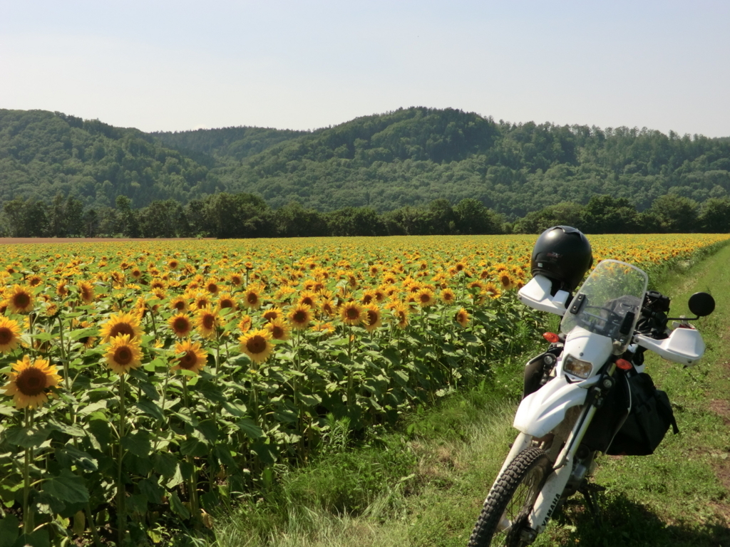 f:id:GSmountain:20180803065633j:plain