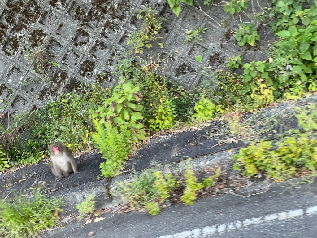 f:id:GTraveller:20241017135624j:image