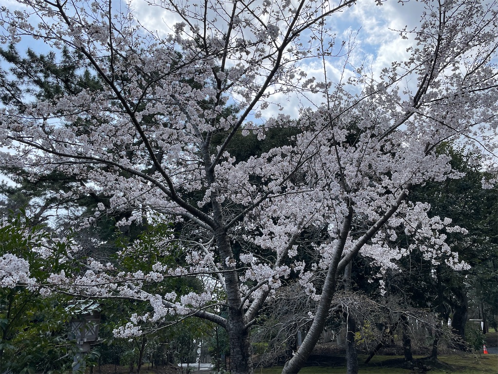 f:id:GTraveller:20250330164548j:image f:id:GTraveller:20250330164548j:image