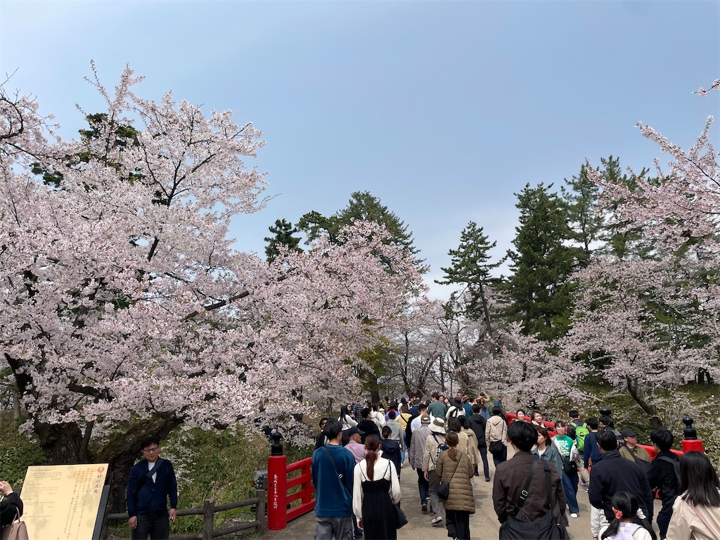 f:id:GTraveller:20250429222429j:image f:id:GTraveller:20250429222429j:image