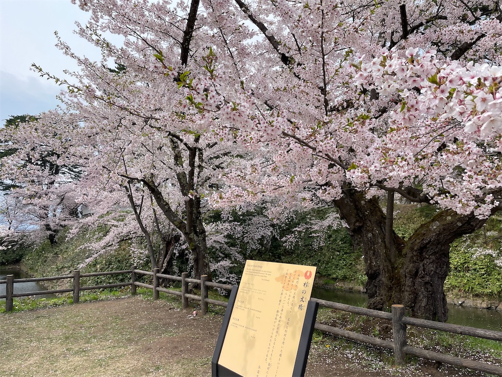 f:id:GTraveller:20250429222510j:image f:id:GTraveller:20250429222510j:image