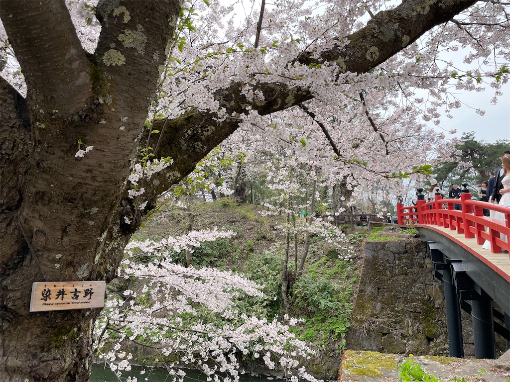 f:id:GTraveller:20250429222720j:image f:id:GTraveller:20250429222720j:image