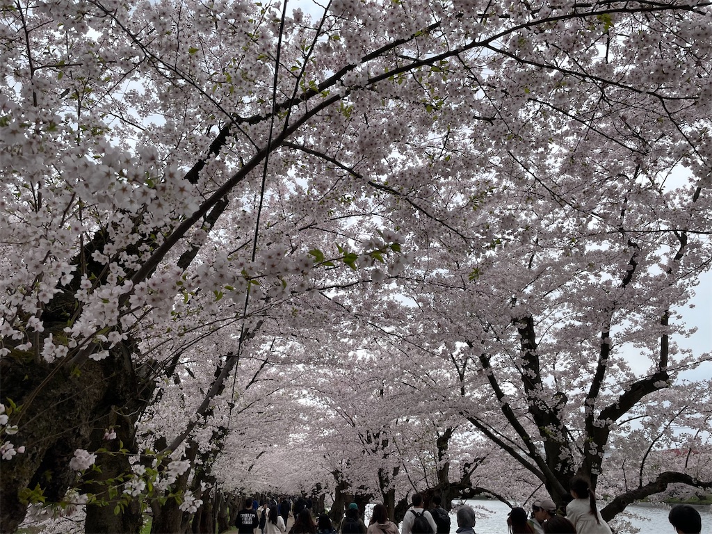 f:id:GTraveller:20250429222809j:image f:id:GTraveller:20250429222809j:image