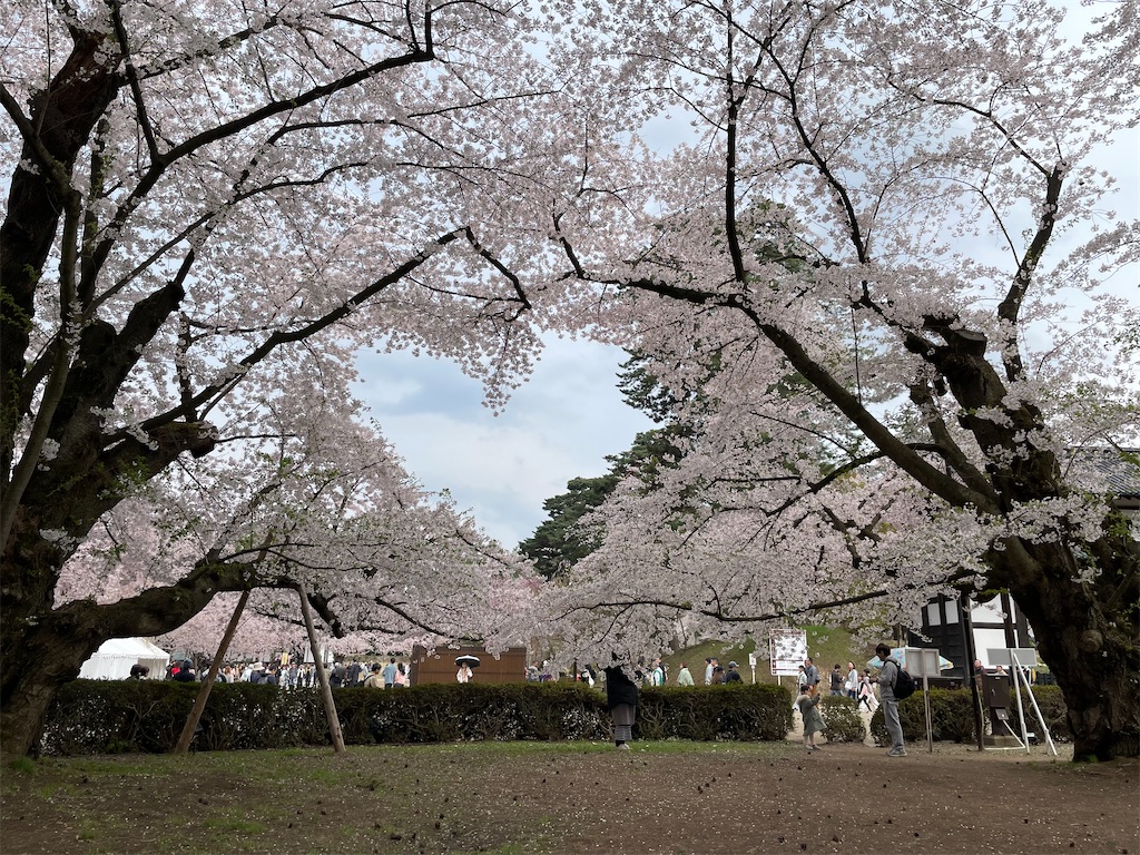 f:id:GTraveller:20250429222920j:image f:id:GTraveller:20250429222920j:image