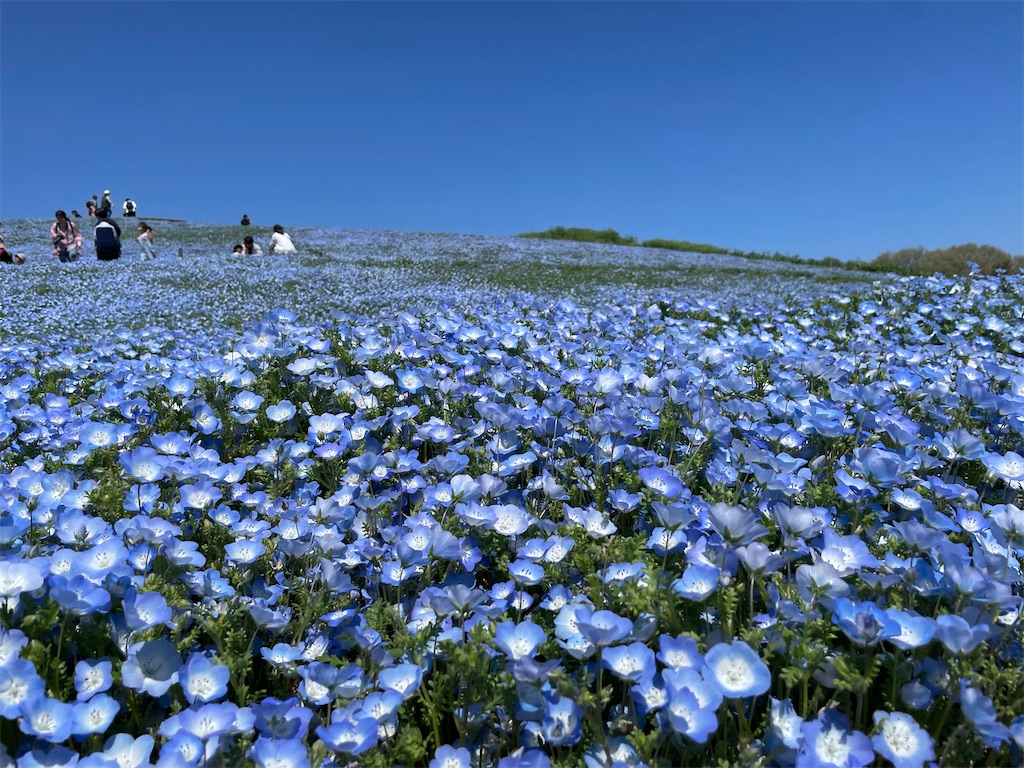 f:id:GTraveller:20260414071124j:image