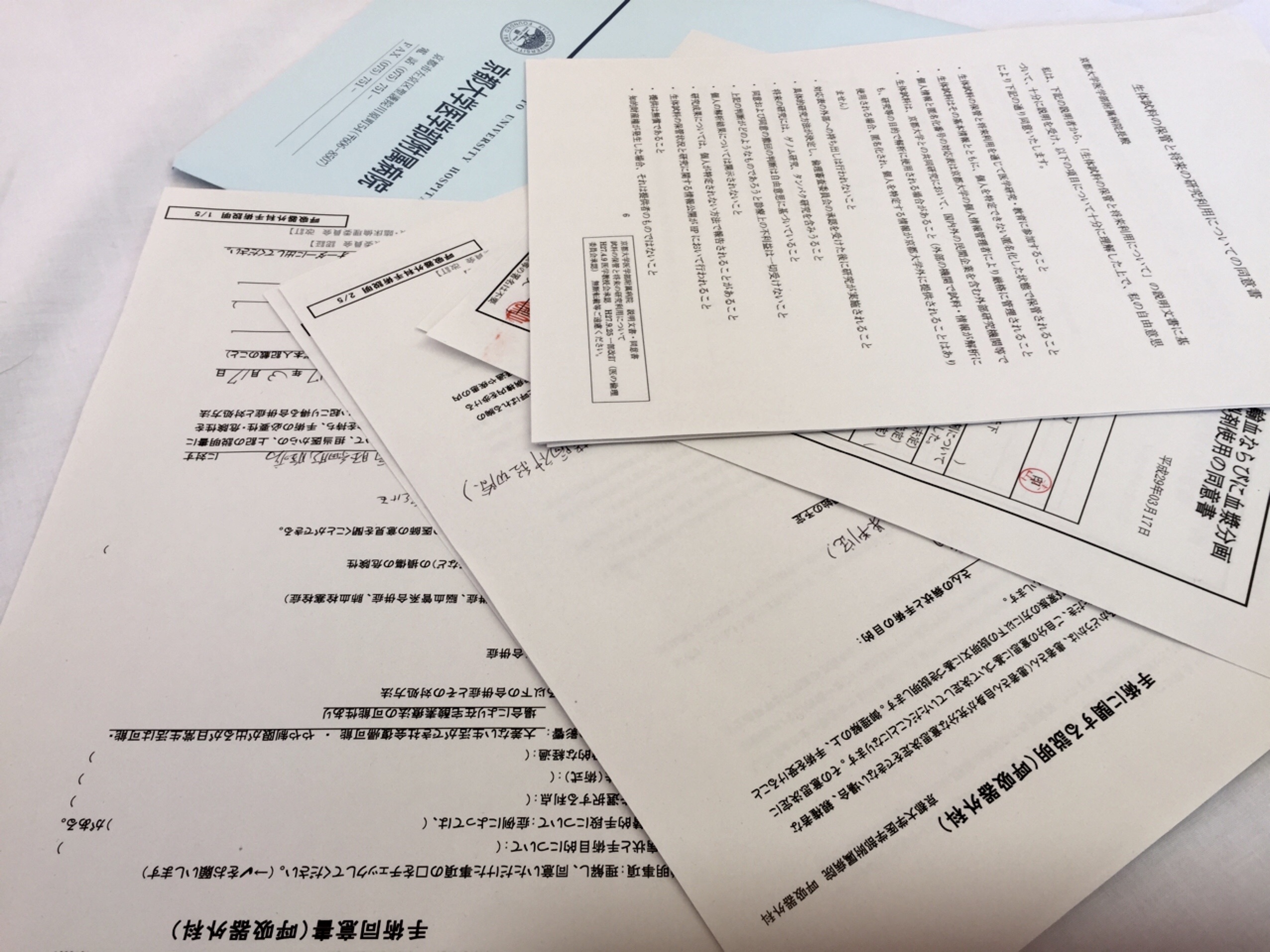 f:id:GUCCHi:20170319110922j:image f:id:GUCCHi:20170319110922j:image