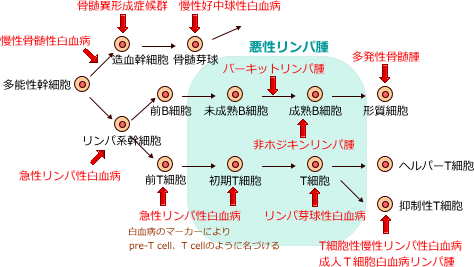 f:id:GUCCHi:20180706133037g:image