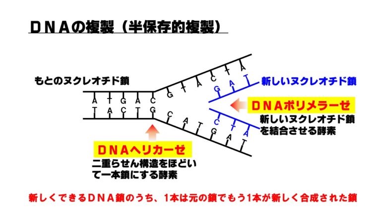 f:id:GUCCHi:20180714121509j:image