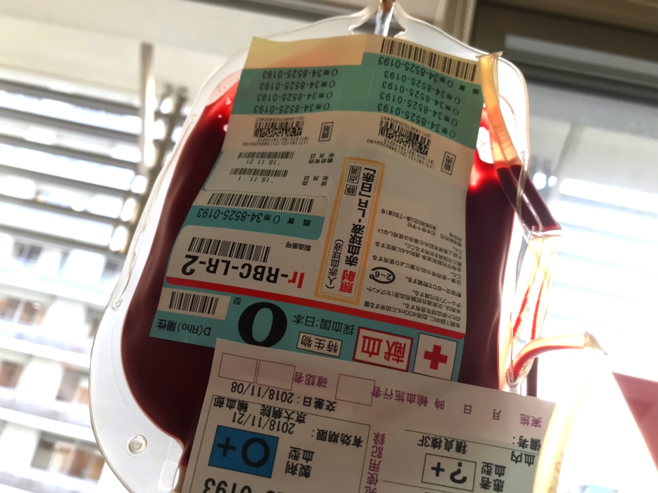 f:id:GUCCHi:20181108160552j:image