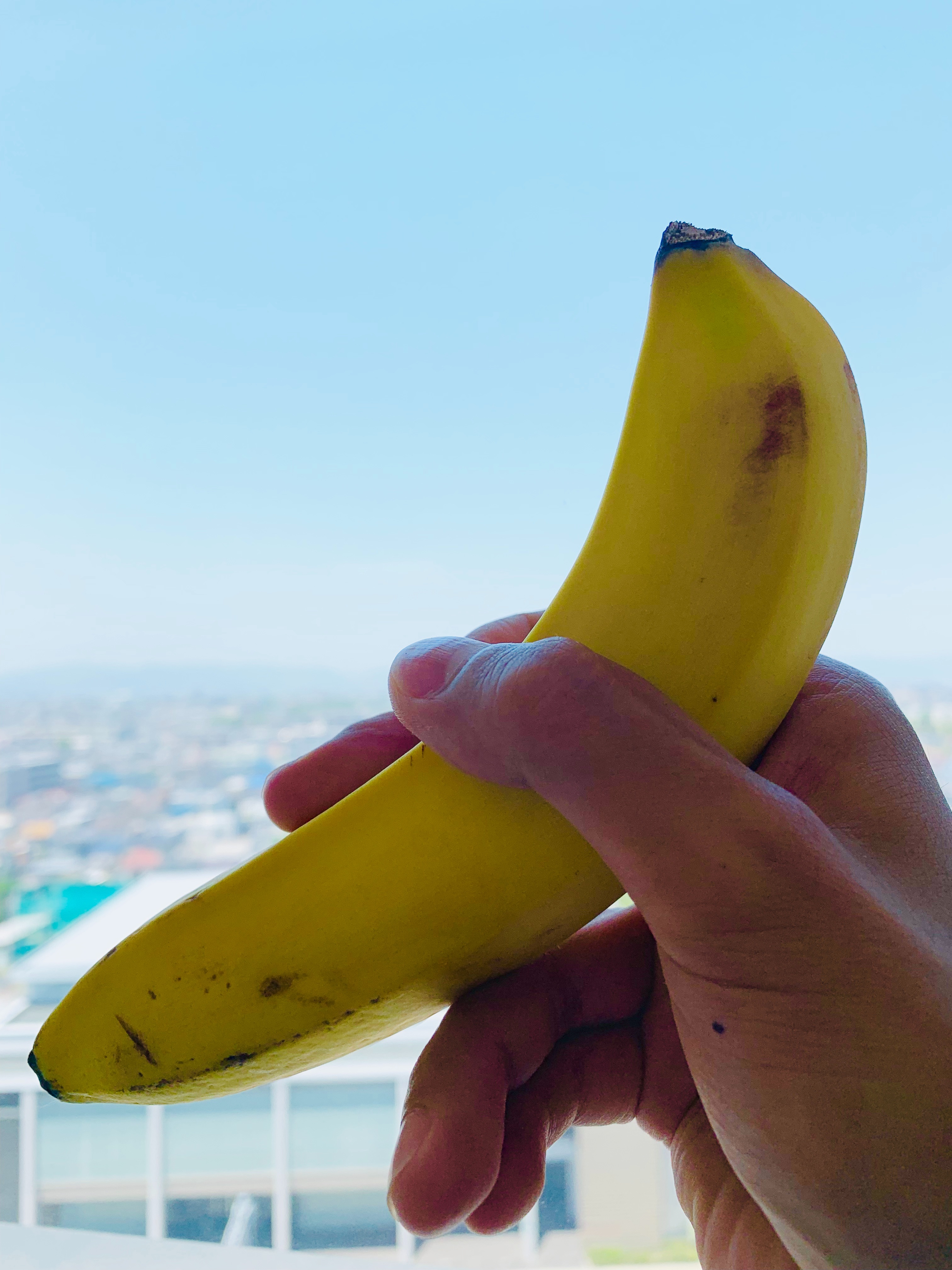 f:id:GUCCHi:20190525144211j:image f:id:GUCCHi:20190525144211j:image