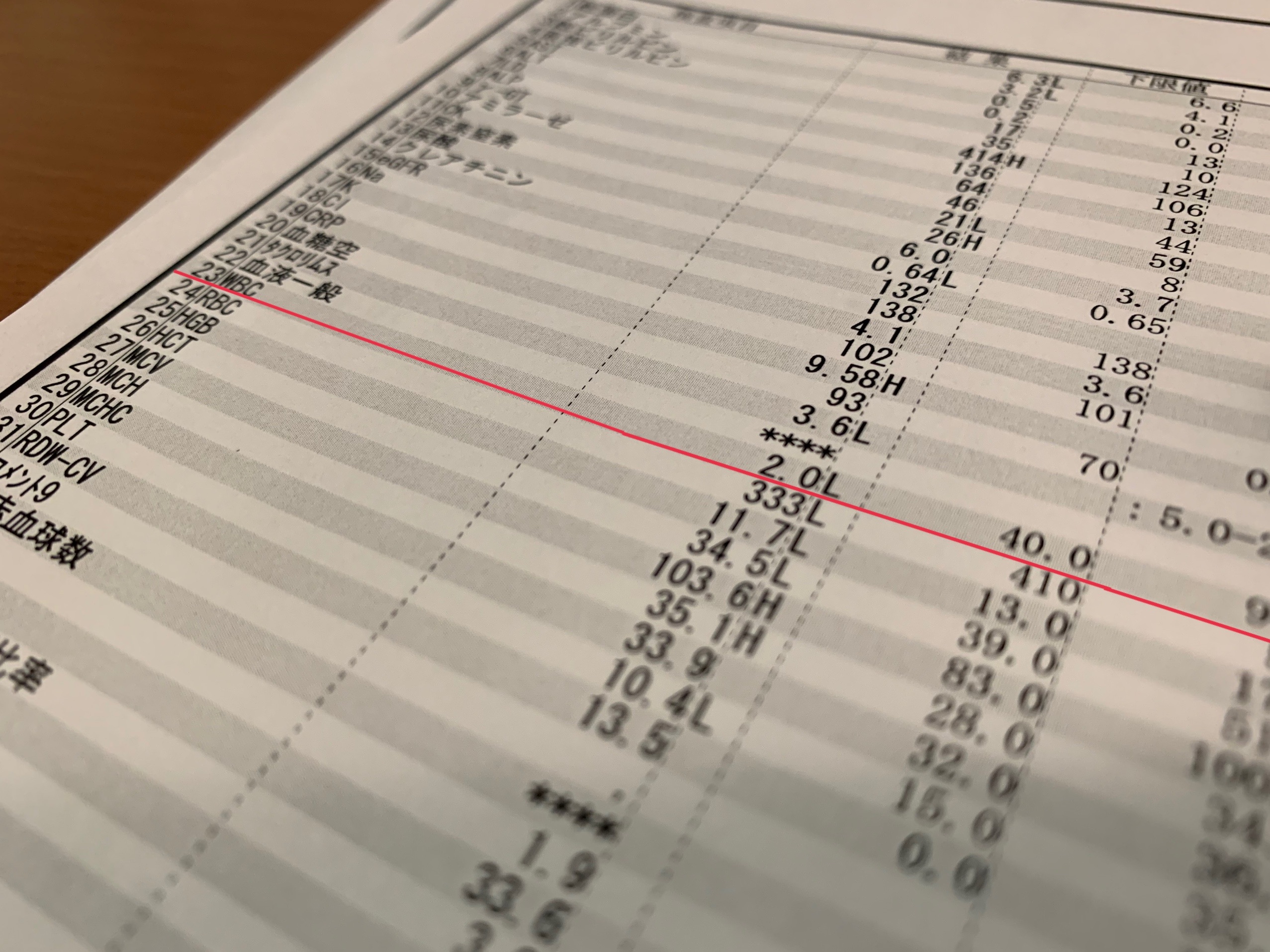 f:id:GUCCHi:20191112170445j:image f:id:GUCCHi:20191112170445j:image