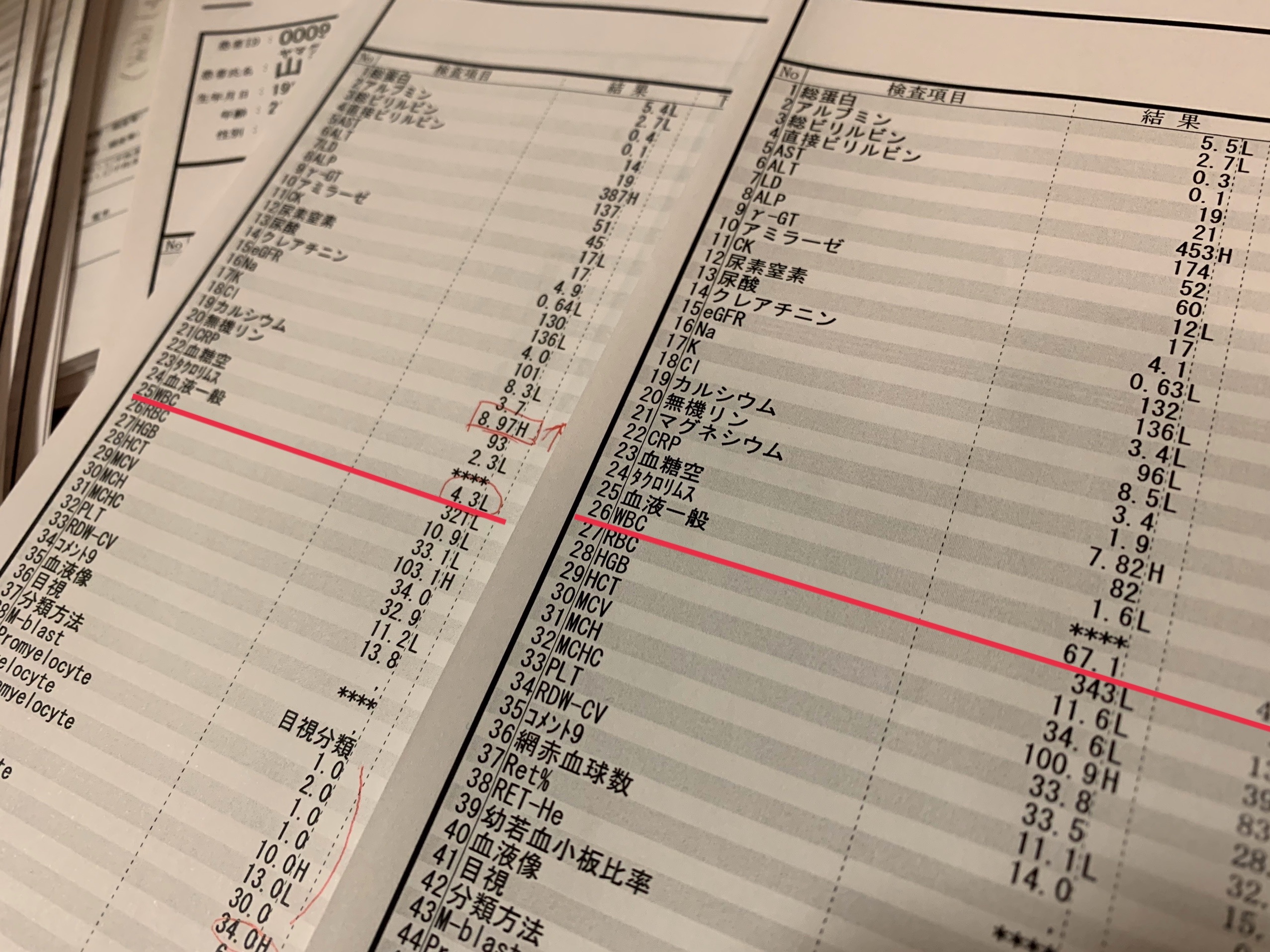 f:id:GUCCHi:20191112182853j:image f:id:GUCCHi:20191112182853j:image