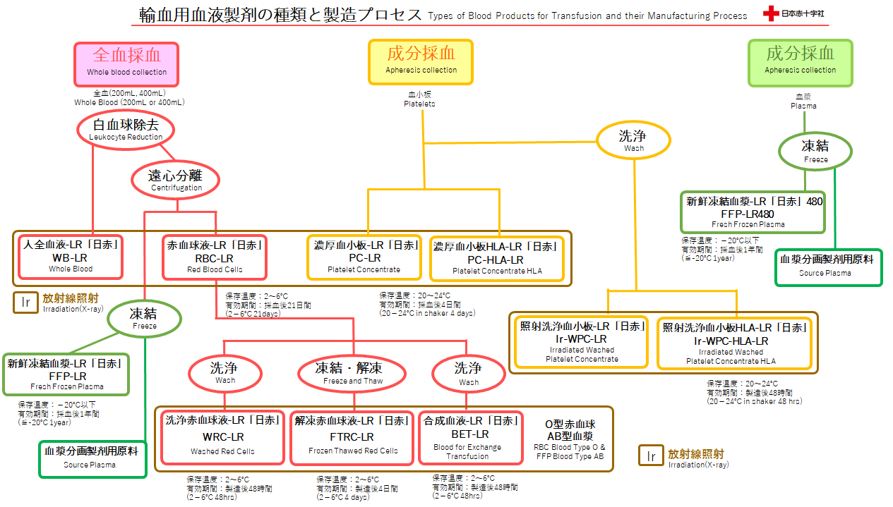 f:id:GUCCHi:20210408125930p:image f:id:GUCCHi:20210408125930p:image