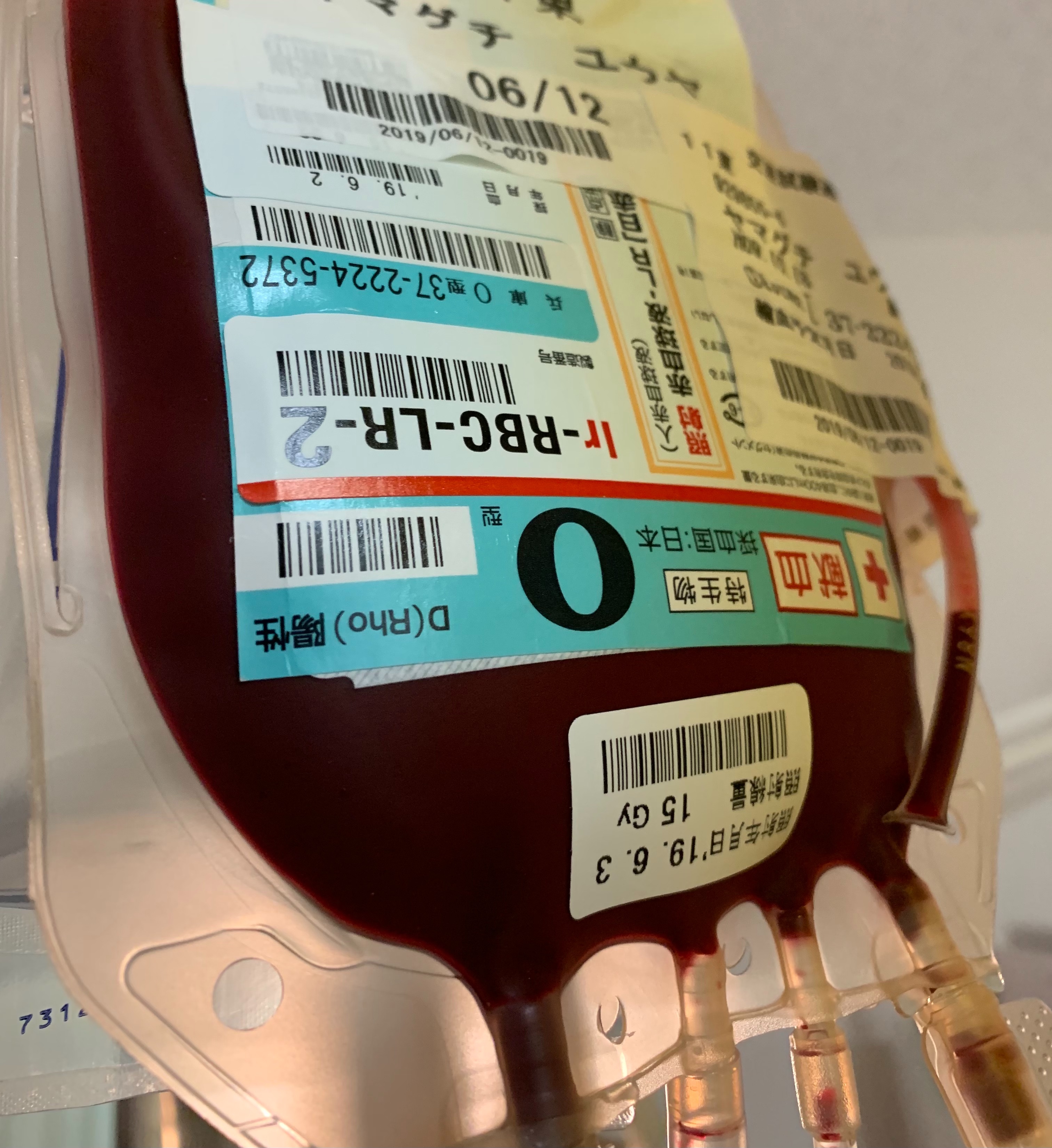 f:id:GUCCHi:20210408214920j:plain