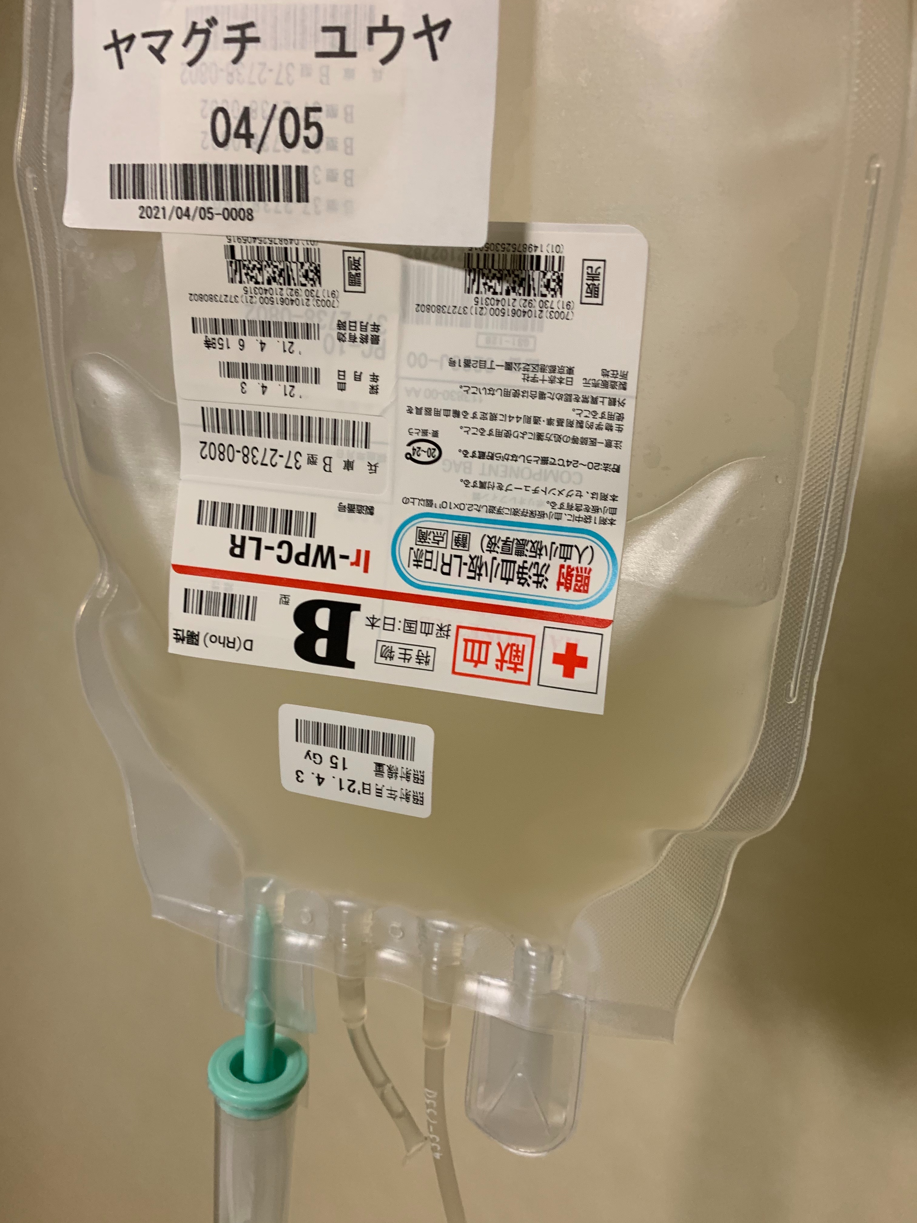 f:id:GUCCHi:20210408215003j:plain