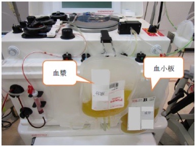 f:id:GUCCHi:20210409010109j:image f:id:GUCCHi:20210409010109j:image