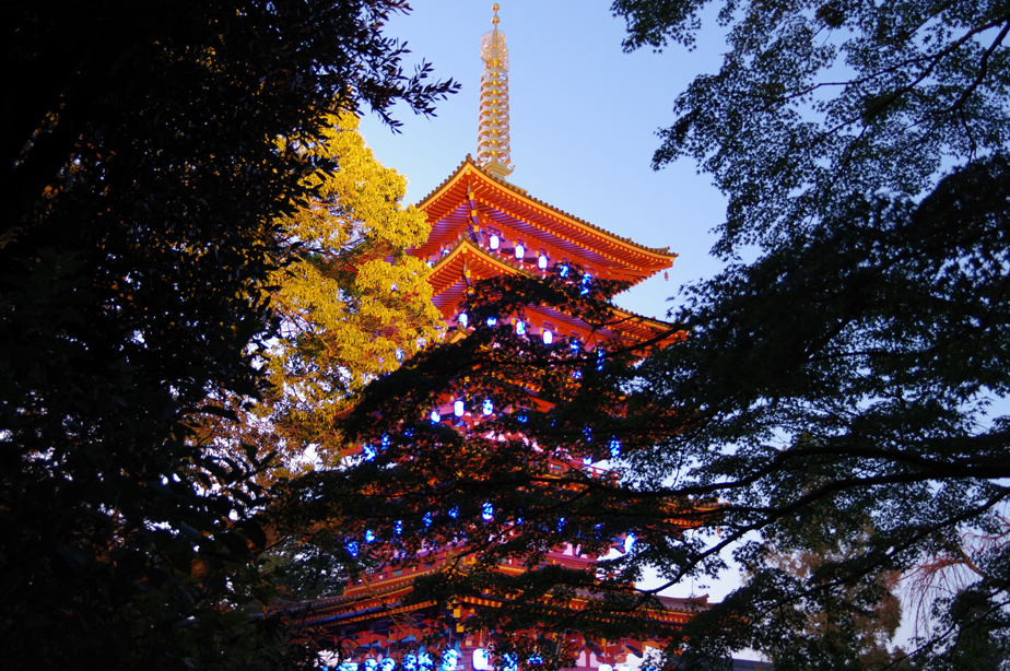 高幡不動尊 五重塔ブルーライトアップ T Unlimited