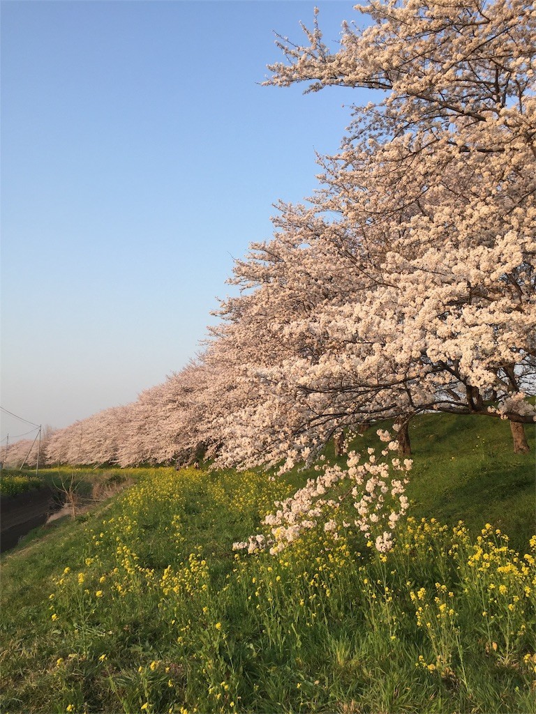 f:id:G_suke:20180328233838j:image