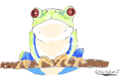 Frog Sightings