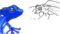 Frog Sightings
