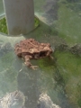 20120721145739