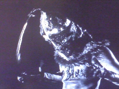 f:id:GachifloZ:20121029163626j:image:w180 f:id:GachifloZ:20121029163626j:image:w180