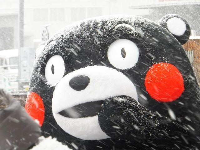 f:id:GachifloZ:20121104081534j:image:w180 f:id:GachifloZ:20121104081534j:image:w180