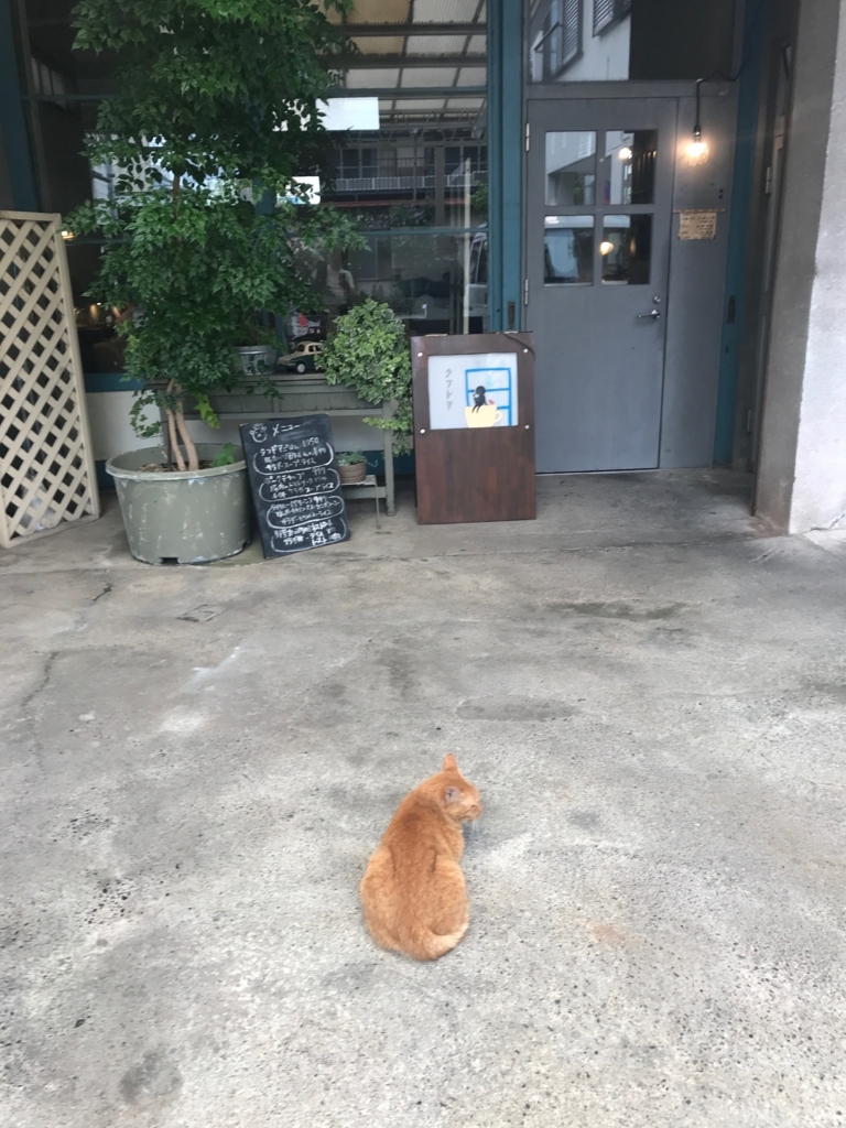 f:id:GachifloZ:20180729165325j:plain f:id:GachifloZ:20180729165325j:plain