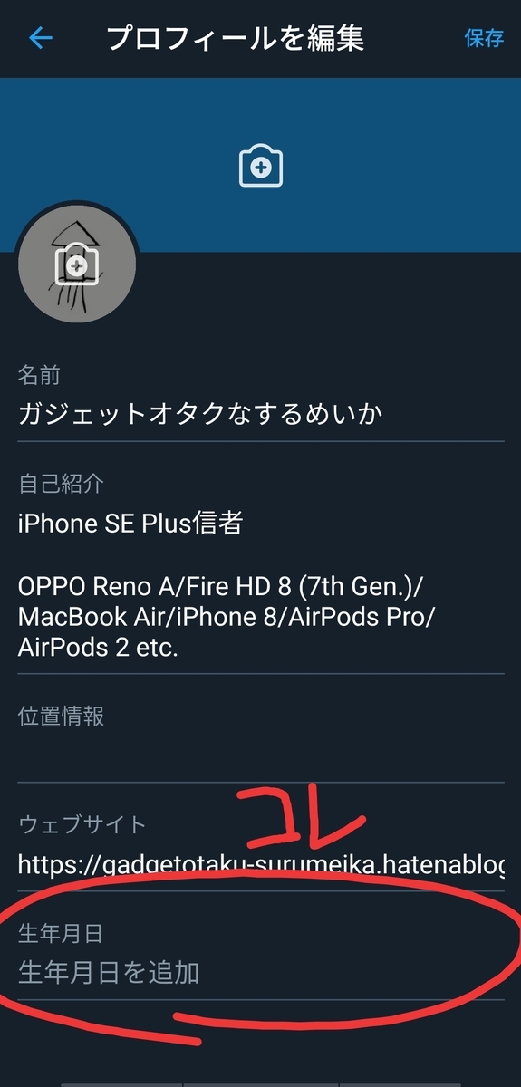 f:id:GadgetOtaku_Surumeika:20200626184355j:plain