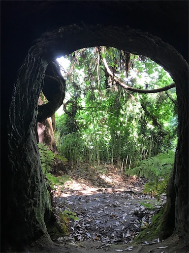 f:id:Gaido_Lorelei53:20191126210916j:image f:id:Gaido_Lorelei53:20191126210916j:image
