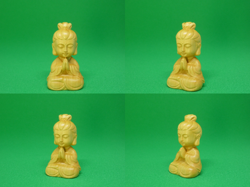 ノースポールの画像