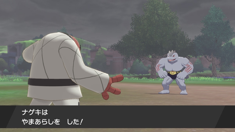 急所シリーズ やけどした状態で技が急所に当たったらダメージはどうなるのか ポケットモンスターソード シールド ゲーム365日 ゲームサンロクゴ