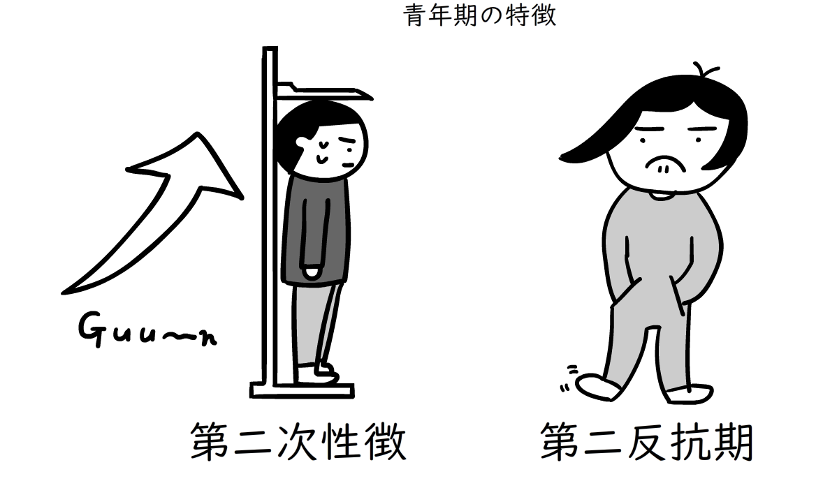 第二次性徴、第二反抗期