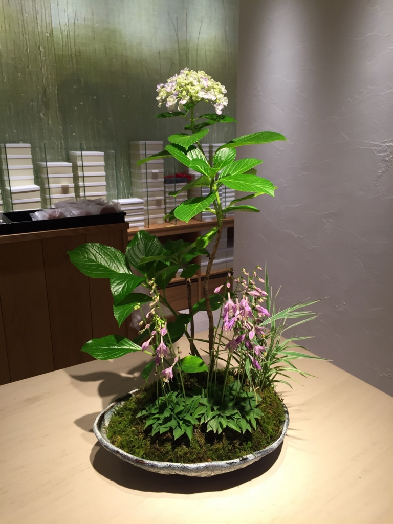 f:id:GardenPorter:20160704075845j:plain f:id:GardenPorter:20160704075845j:plain