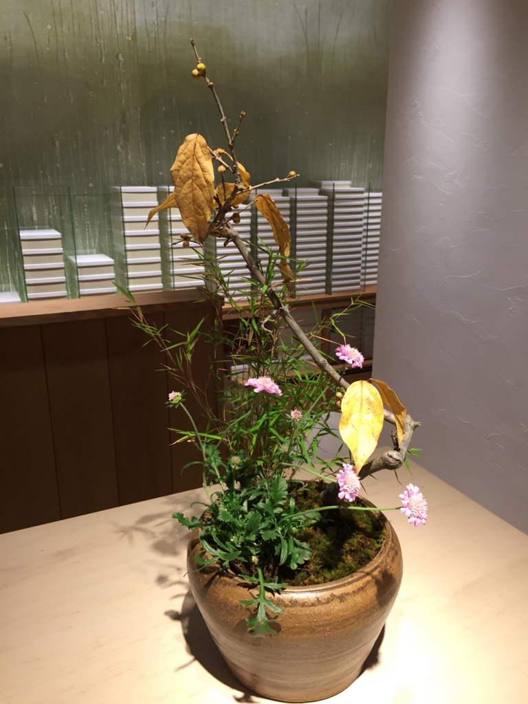 f:id:GardenPorter:20161223171320j:plain f:id:GardenPorter:20161223171320j:plain