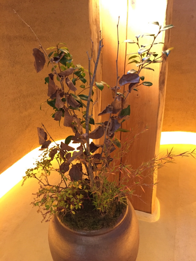 f:id:GardenPorter:20161223182305j:plain f:id:GardenPorter:20161223182305j:plain