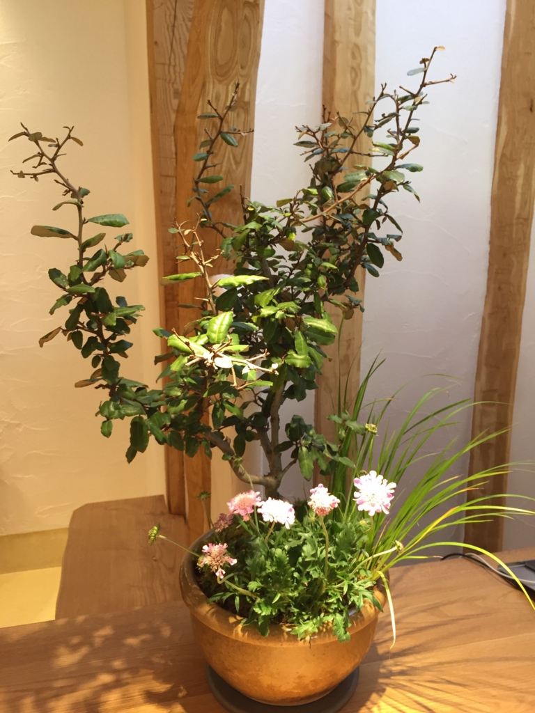f:id:GardenPorter:20161226081303j:plain f:id:GardenPorter:20161226081303j:plain